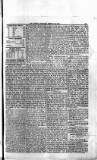 Antigua Standard Saturday 16 August 1884 Page 3