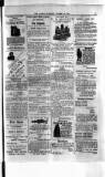 Antigua Standard Friday 10 October 1884 Page 7