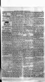 Antigua Standard Thursday 16 October 1884 Page 3