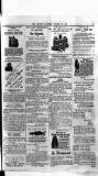 Antigua Standard Thursday 16 October 1884 Page 7