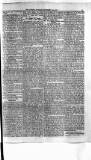 Antigua Standard Monday 10 November 1884 Page 5