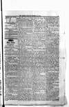 Antigua Standard Monday 17 November 1884 Page 3