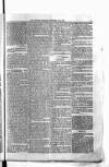 Antigua Standard Monday 17 November 1884 Page 5