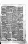 Antigua Standard Monday 01 December 1884 Page 5