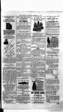 Antigua Standard Monday 01 December 1884 Page 7