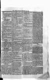 Antigua Standard Wednesday 10 December 1884 Page 5
