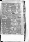 Antigua Standard Wednesday 07 January 1885 Page 3