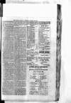 Antigua Standard Wednesday 14 January 1885 Page 3