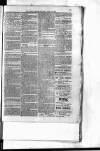 Antigua Standard Saturday 11 April 1885 Page 3