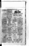 Antigua Standard Wednesday 29 April 1885 Page 3