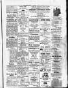 Antigua Standard Saturday 27 June 1885 Page 3