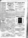 Antigua Standard Wednesday 13 March 1889 Page 3