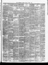 Dunfermline Journal Saturday 02 March 1889 Page 3