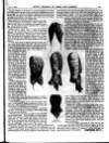 Myra's Journal of Dress and Fashion Sunday 01 June 1884 Page 15