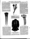 Myra's Journal of Dress and Fashion Monday 01 November 1886 Page 33