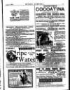 Myra's Journal of Dress and Fashion Tuesday 01 January 1889 Page 51