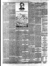 Spalding Guardian Saturday 14 March 1885 Page 8