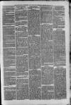 Bayswater Chronicle Saturday 24 May 1873 Page 3