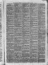 Bayswater Chronicle Saturday 15 November 1873 Page 3