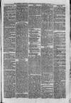 Bayswater Chronicle Saturday 15 November 1873 Page 7