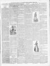 Bayswater Chronicle Saturday 24 March 1894 Page 7