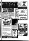 Fenland Citizen Wednesday 04 July 1990 Page 9