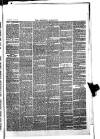 Redditch Indicator Saturday 09 January 1864 Page 3