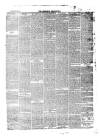 Redditch Indicator Saturday 23 May 1874 Page 3