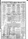 Langport & Somerton Herald Saturday 03 January 1885 Page 9