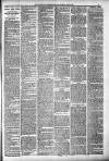 Langport & Somerton Herald Saturday 30 June 1900 Page 3
