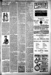 Langport & Somerton Herald Saturday 22 December 1900 Page 7