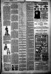 Langport & Somerton Herald Saturday 03 January 1903 Page 7