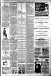 Langport & Somerton Herald Saturday 31 January 1903 Page 7