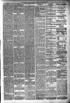 Langport & Somerton Herald Saturday 06 February 1904 Page 5