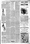 Langport & Somerton Herald Saturday 25 June 1904 Page 7