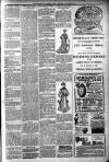 Langport & Somerton Herald Saturday 19 November 1904 Page 7