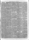 Loftus Advertiser Saturday 04 January 1879 Page 3