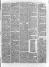 Loftus Advertiser Saturday 25 January 1879 Page 5