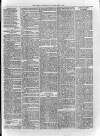 Loftus Advertiser Saturday 01 February 1879 Page 7