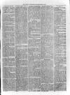 Loftus Advertiser Saturday 15 February 1879 Page 5