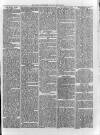 Loftus Advertiser Saturday 22 February 1879 Page 3