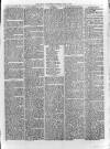 Loftus Advertiser Saturday 22 February 1879 Page 5