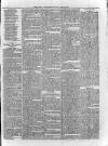 Loftus Advertiser Saturday 22 February 1879 Page 7