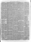 Loftus Advertiser Saturday 01 March 1879 Page 3