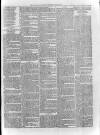 Loftus Advertiser Saturday 01 March 1879 Page 7