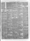 Loftus Advertiser Saturday 08 March 1879 Page 7