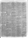 Loftus Advertiser Saturday 15 March 1879 Page 5