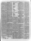 Loftus Advertiser Saturday 22 March 1879 Page 3