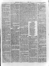 Loftus Advertiser Saturday 22 March 1879 Page 5