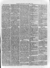 Loftus Advertiser Saturday 12 April 1879 Page 3